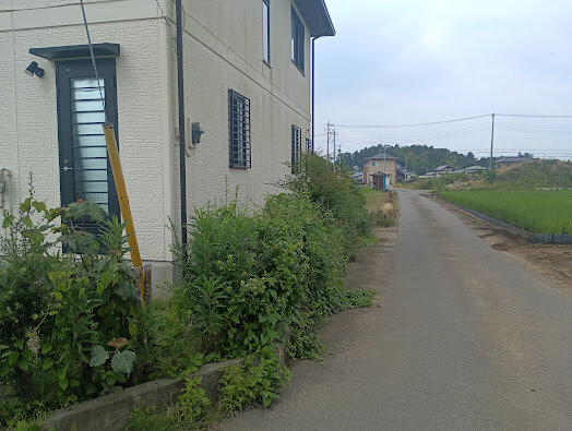 IMG_20260709_093441.jpg