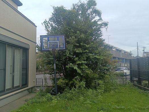 IMG_20260910_093339.jpg