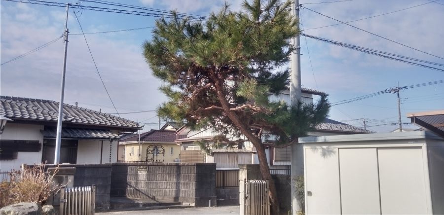 KIMG0918.JPG