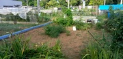 水戸市I様 草刈り