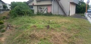 水戸市T様 建屋周りの草刈り