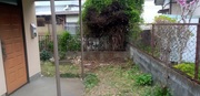 水戸市A様 物置解体