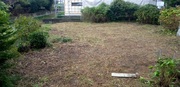 水戸市S様 草刈り・庭木剪定