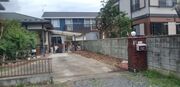 水戸市S様 庭木伐採