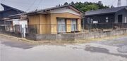 東茨城郡M様 庭木伐採