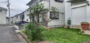 水戸市M様 庭木剪定