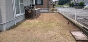 水戸市T様 草刈り