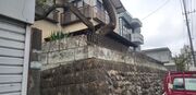 水戸市O様 庭木伐採