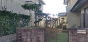 水戸市K様　庭木剪定