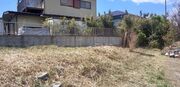 水戸市T様 草刈り・庭木伐採