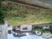 水戸市A様 草刈り