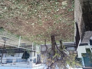 水戸市S様 草刈り