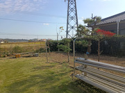 水戸市K様　庭木剪定・伐採