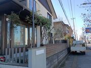 水戸市N様　庭木剪定