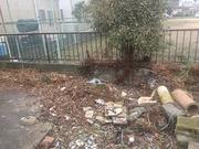 水戸市I様　庭石片付け