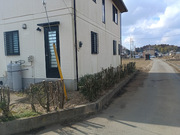 水戸市O様　庭木剪定