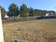 大洗町O様　草刈り