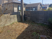 水戸市S様　庭木伐採